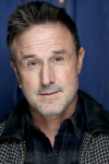 David Arquette