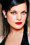 Pauley Perrette