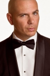 Pitbull