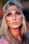Sharon Tate