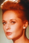 Tippi Hedren Tippi Hedren